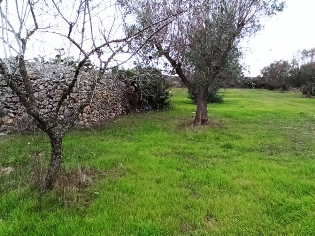Rustico / casale a Manduria in Contrada Schiavone - Foto 5