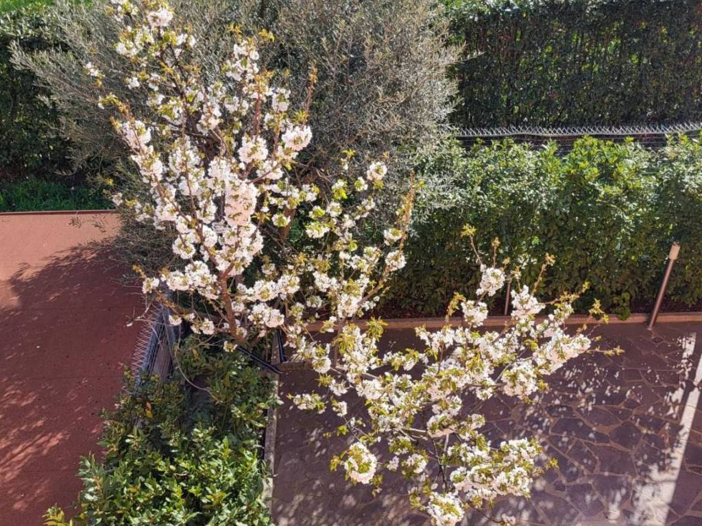 Villetta a schiera a Lamporecchio - Foto 3