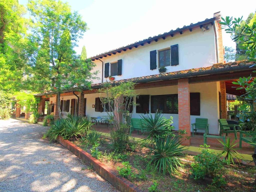 Rustico / casale a San miniato - Foto 2