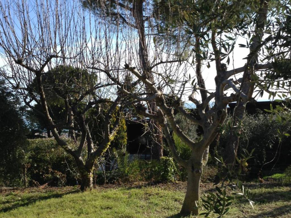 Rustico / casale a Tortoreto - Foto 3