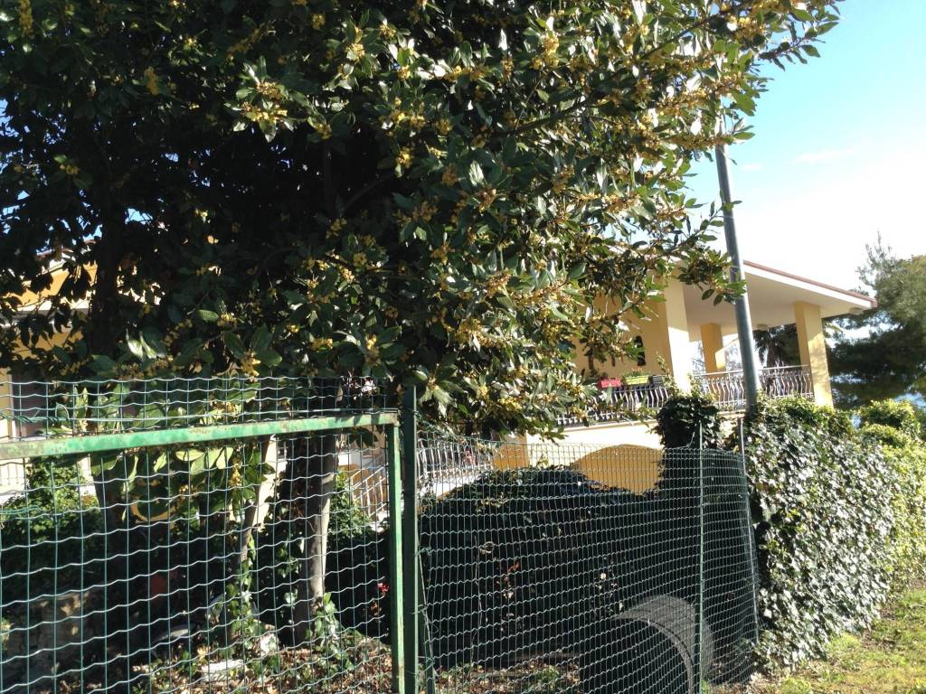 Rustico / casale a Tortoreto - Foto 4