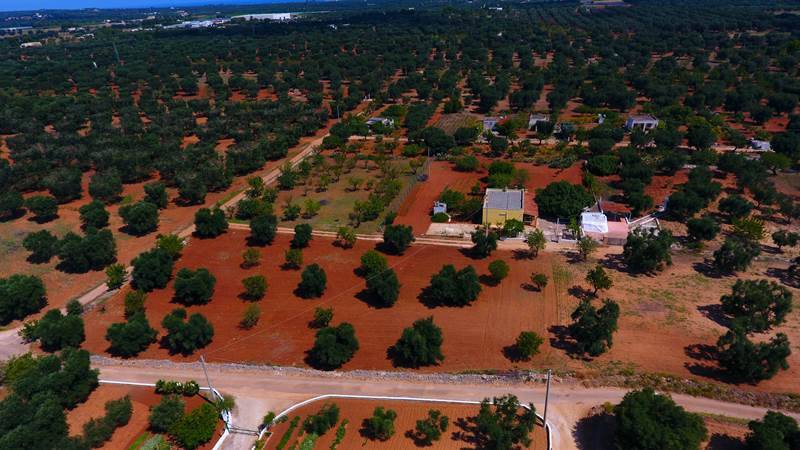 Terreno a Carovigno in Serranova - Foto 2