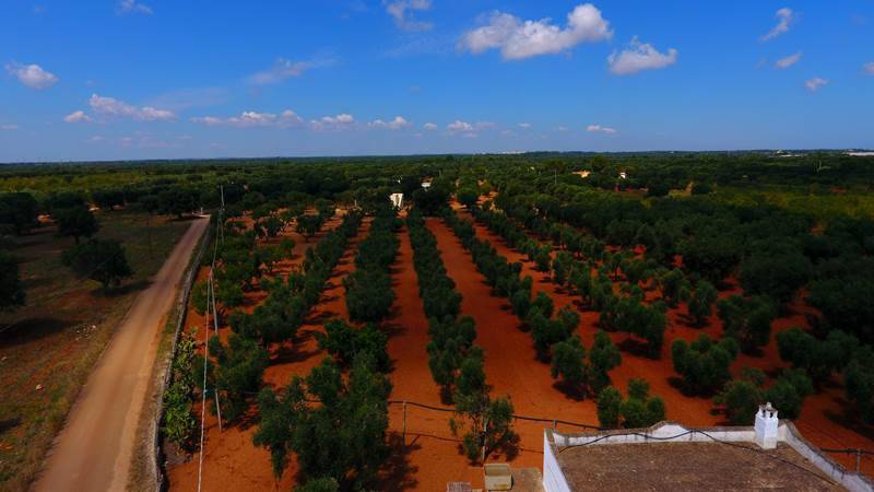 Terreno a Carovigno in Serranova - Foto 4