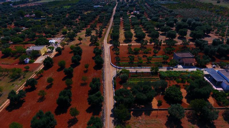 Terreno a Carovigno in Serranova - Foto 5