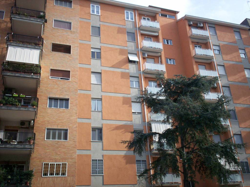 Appartamento a Bari in Viale Papa Pio XII - Foto 3