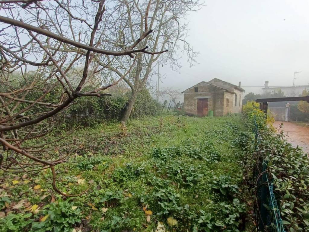 Rustico / casale a Giuliano di roma in Via Sottuario - Foto 2