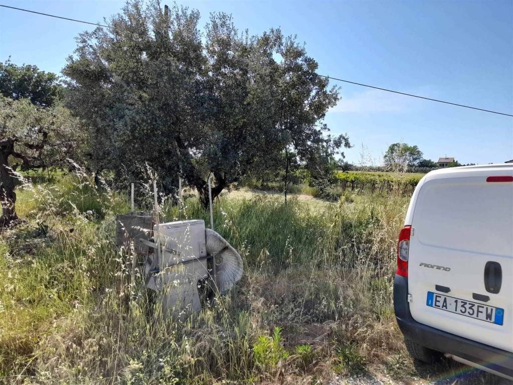 Immobile a Vasto in Via Pagliarelli - Foto 2