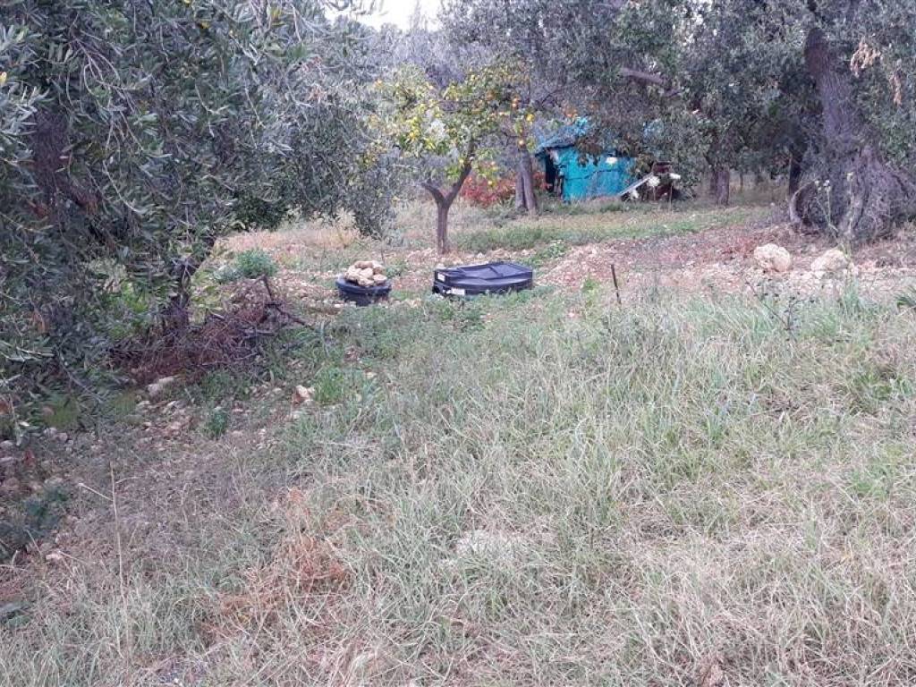 Terreno a Vasto in Via Alessandro III - Foto 2