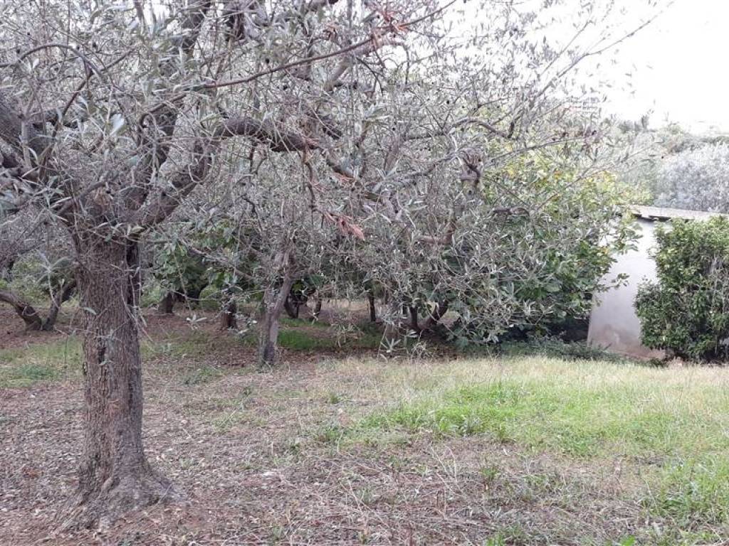 Terreno a Vasto in Via Alessandro III - Foto 3