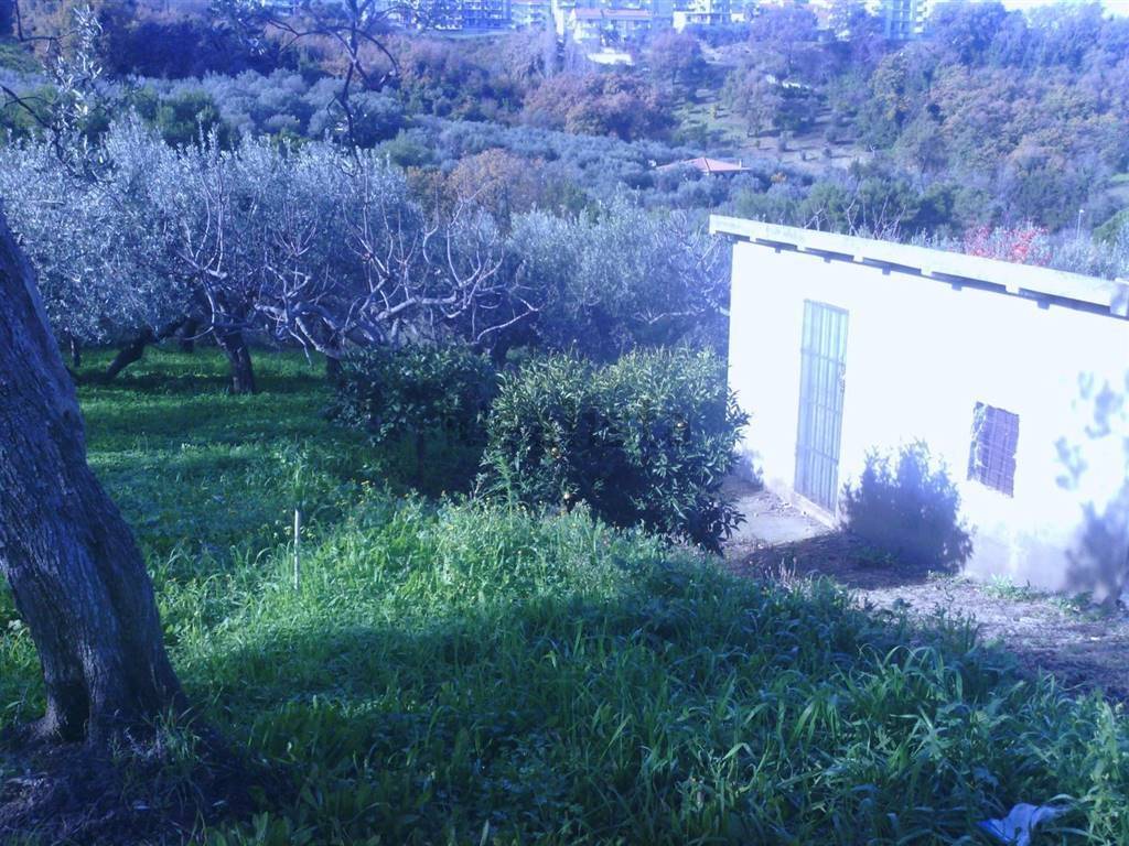 Terreno a Vasto in Via Alessandro III - Foto 5