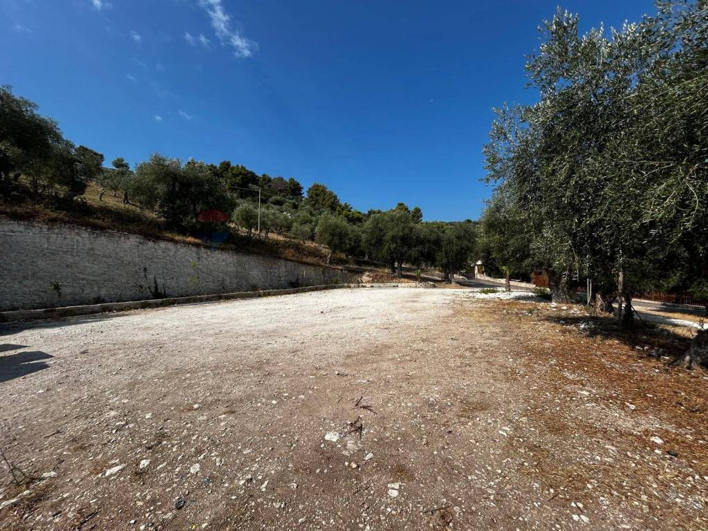 Terreno a Vieste in Località Monte Giordano - Foto 2