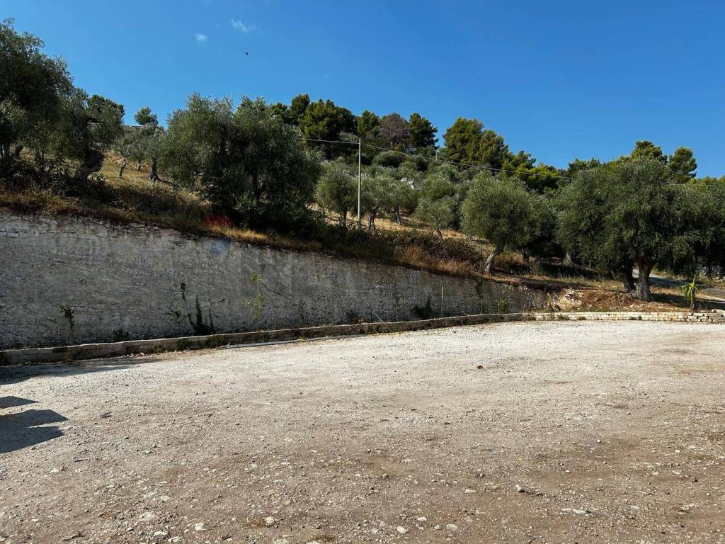Terreno a Vieste in Località Monte Giordano - Foto 4