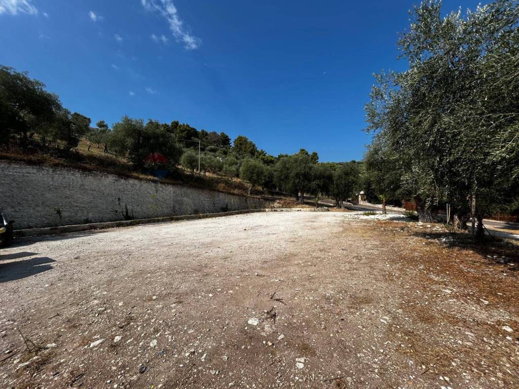 Terreno a Vieste in Località Monte Giordano - Foto 5