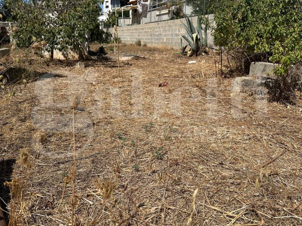 Casa indipendente a Alliste in VIA FELLINE, 84 - Foto 4