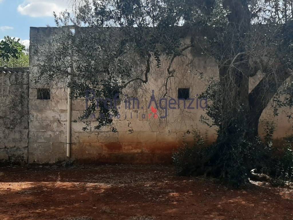 Rustico / casale a San michele salentino - Foto 3
