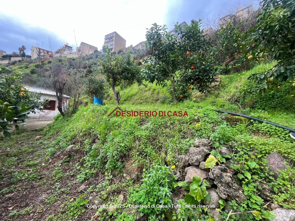 Terreno a Altavilla milicia in Via Sottoserra 7 - Foto 4