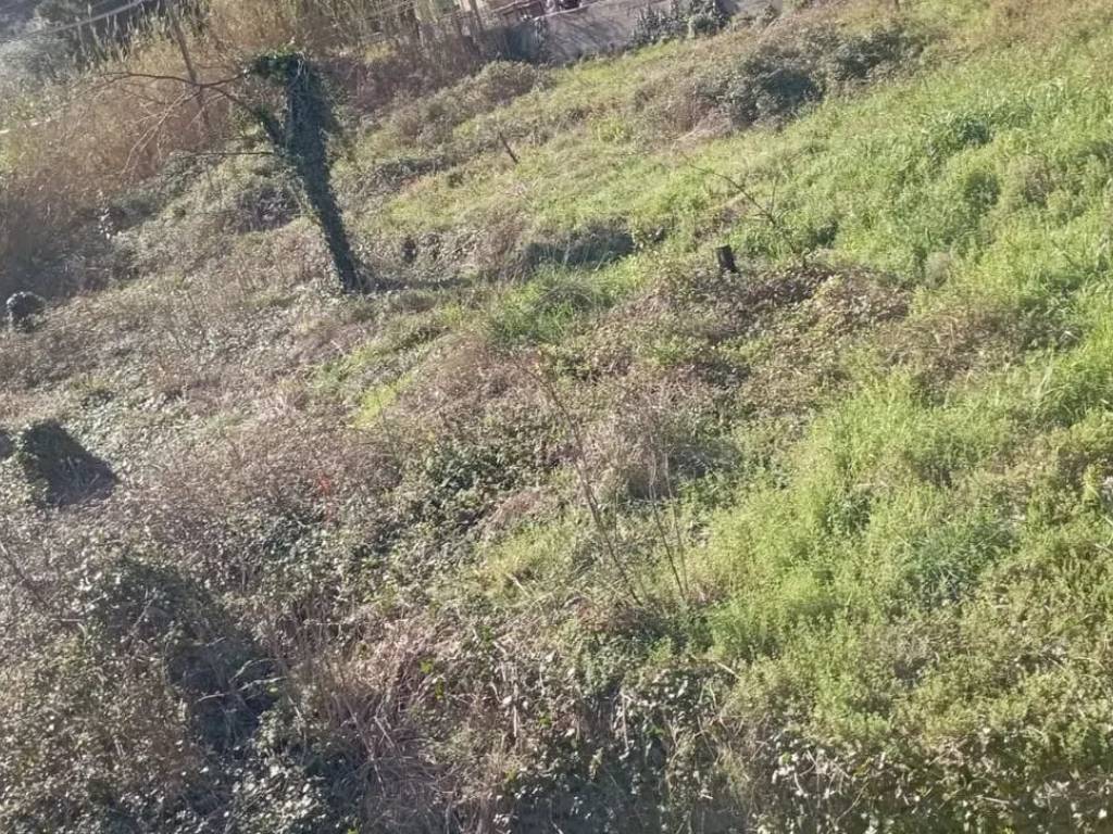 Terreno a Vado ligure in Via Santa Margherita - Foto 2