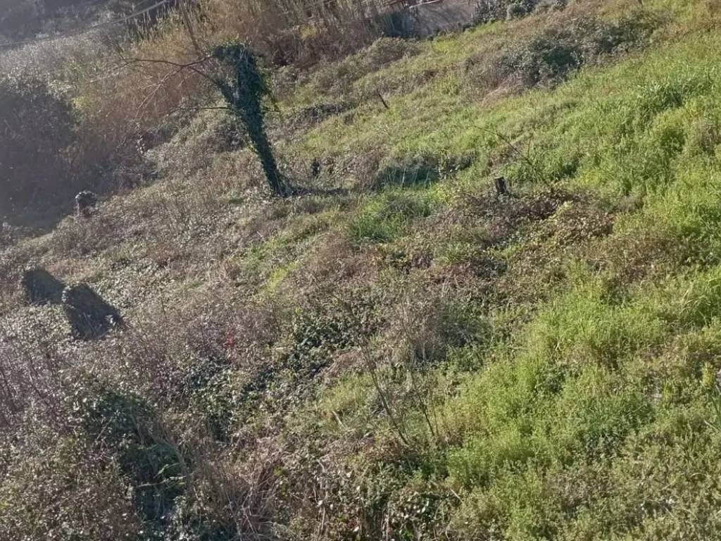 Terreno a Vado ligure in Via Santa Margherita - Foto 3