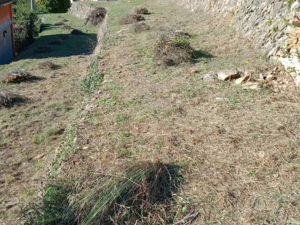 Terreno a Vado ligure in Via Bellandi - Foto 5