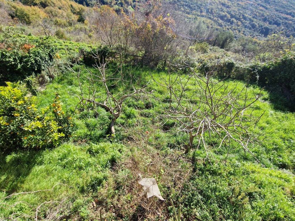 Rustico / casale a Cicerale in Vico Storto - Foto 2