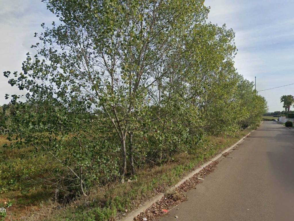 Terreno a Galatina in Via delle Querce - Foto 4
