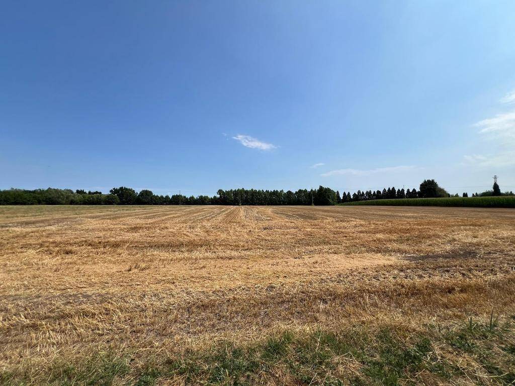 Rustico / casale a Pressana in Via Carbon, 76 - Foto 4