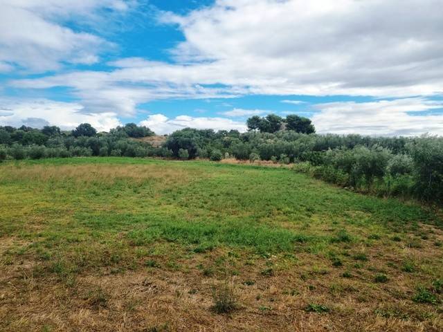 Terreno a Bisceglie - Foto 2