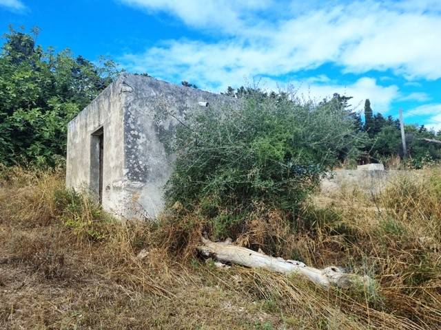 Terreno a Bisceglie - Foto 4