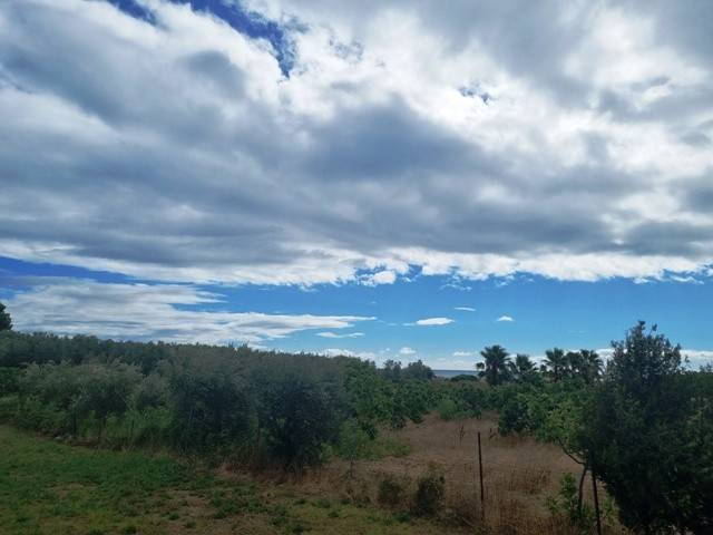 Terreno a Bisceglie - Foto 5