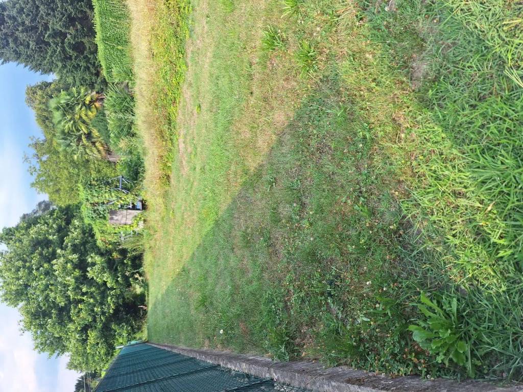 Terreno a Comabbio in Via Cima Campagna - Foto 3