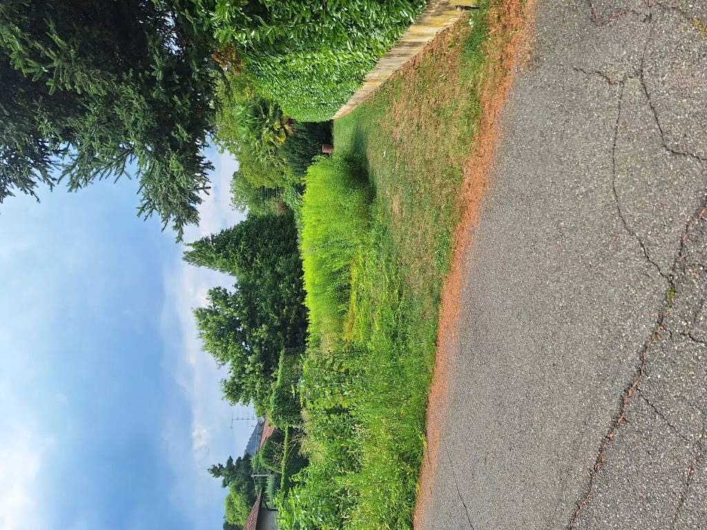 Terreno a Comabbio in Via Cima Campagna - Foto 4