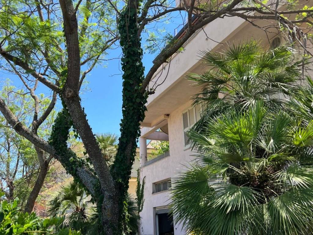 Appartamento a Regalbuto in Via Papa Giovanni XXIII, 34 - Foto 3