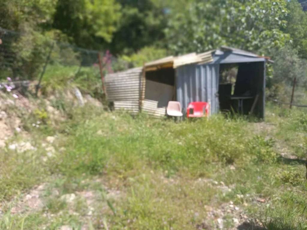 Terreno a Camporosso - Foto 5