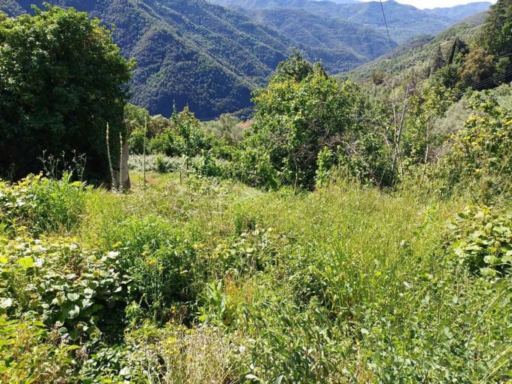 Rustico / casale a Apricale in Fr. Gouta S.N.C. - Foto 4