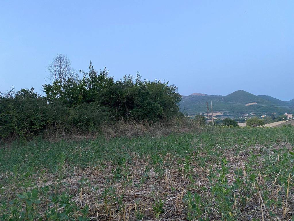 Terreno a Nocera umbra in Vocabolo Molina - Foto 5