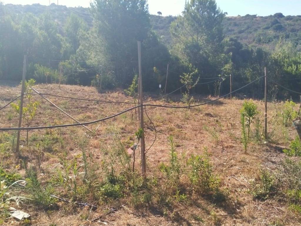 Terreno a Quartucciu in Via delle Azalee - Foto 2