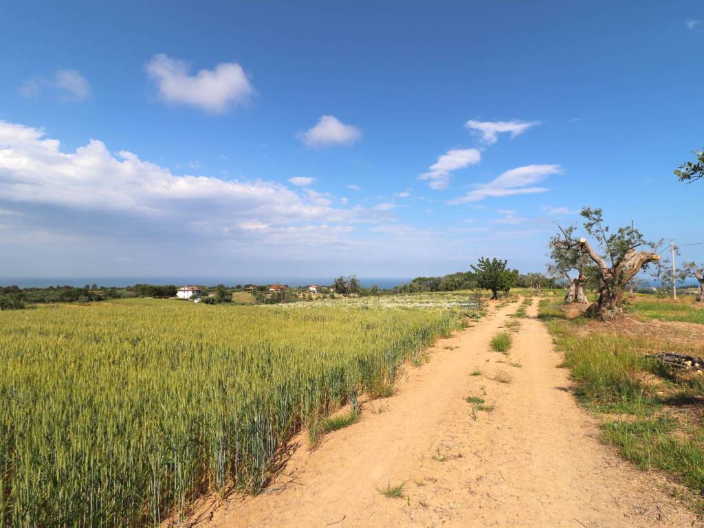 Rustico / casale a Cupra marittima in Contrada San Michele - Foto 5