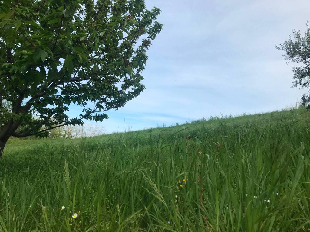 Villa a Mombaroccio in Via della Dora, 8 - Foto 2