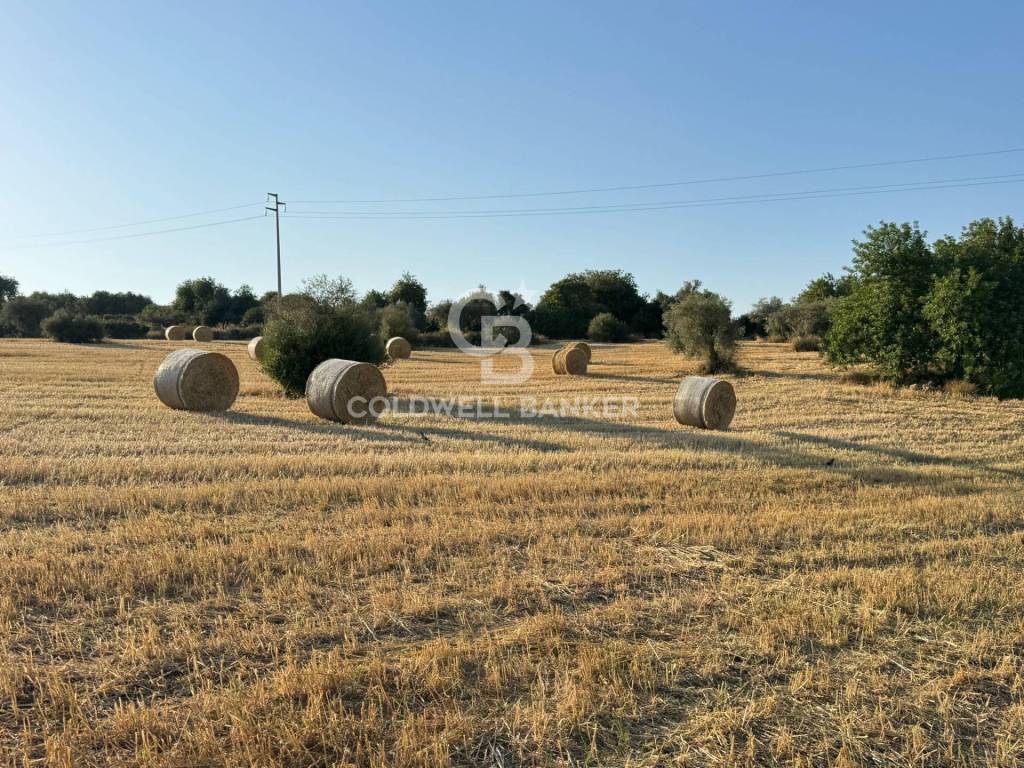 Terreno a Ragusa in Contrada Monte - Foto 5