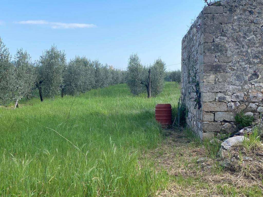 Rustico / casale a Fondi - Foto 4