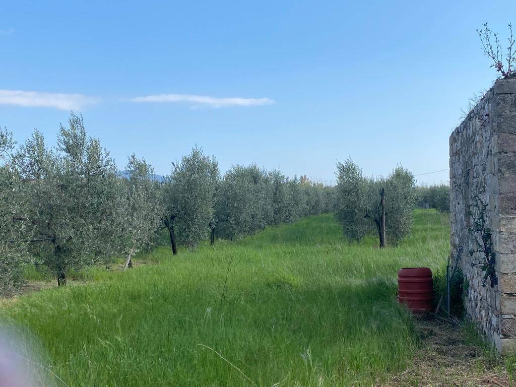 Rustico / casale a Fondi - Foto 5