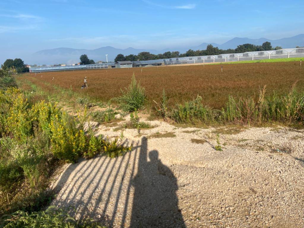 Terreno a Fondi - Foto 3