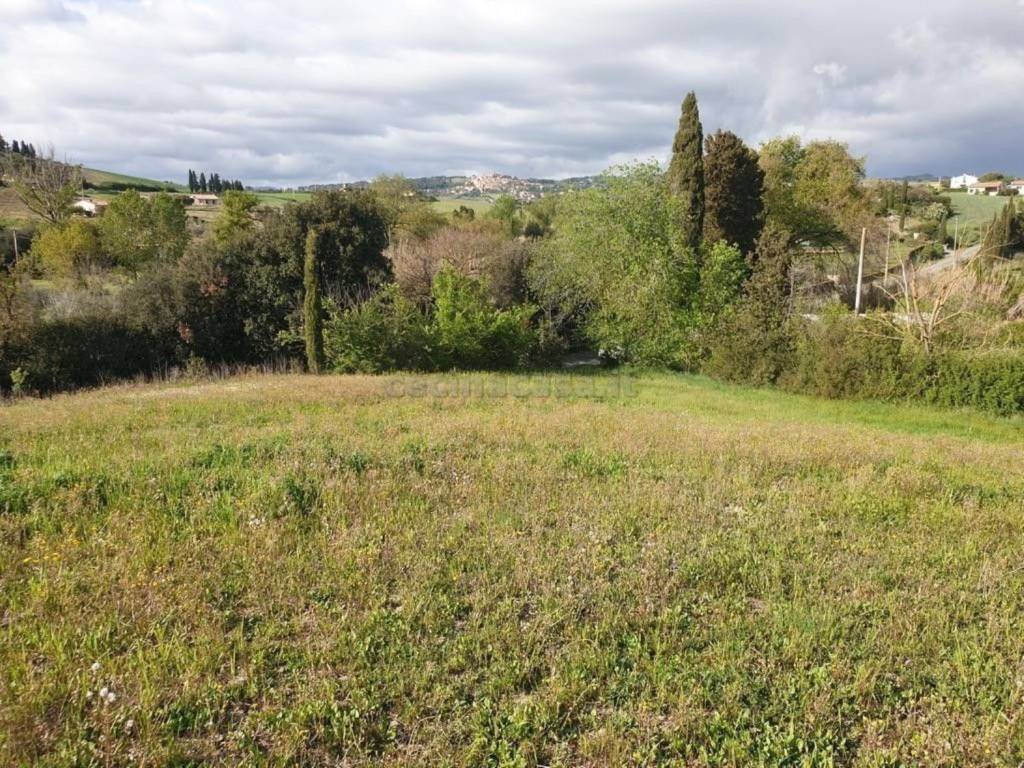 Terreno a Bibbona - Foto 2