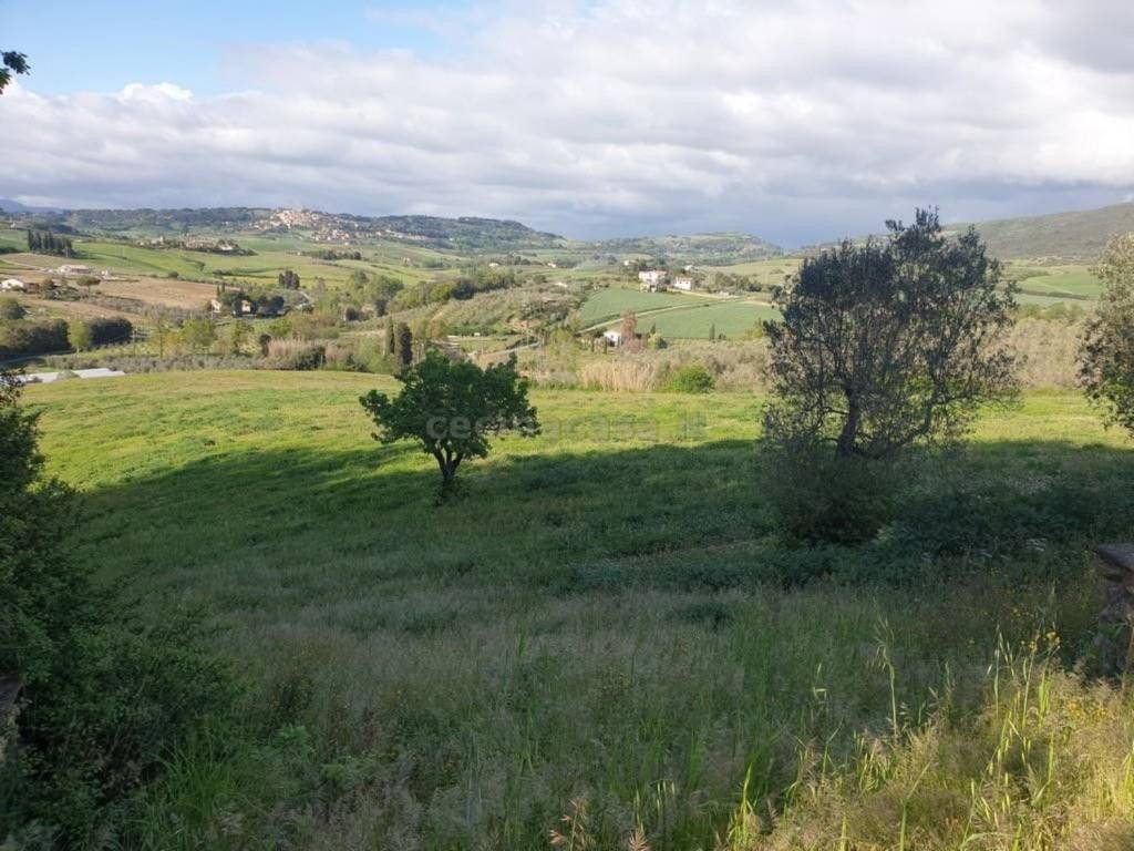 Terreno a Bibbona - Foto 4