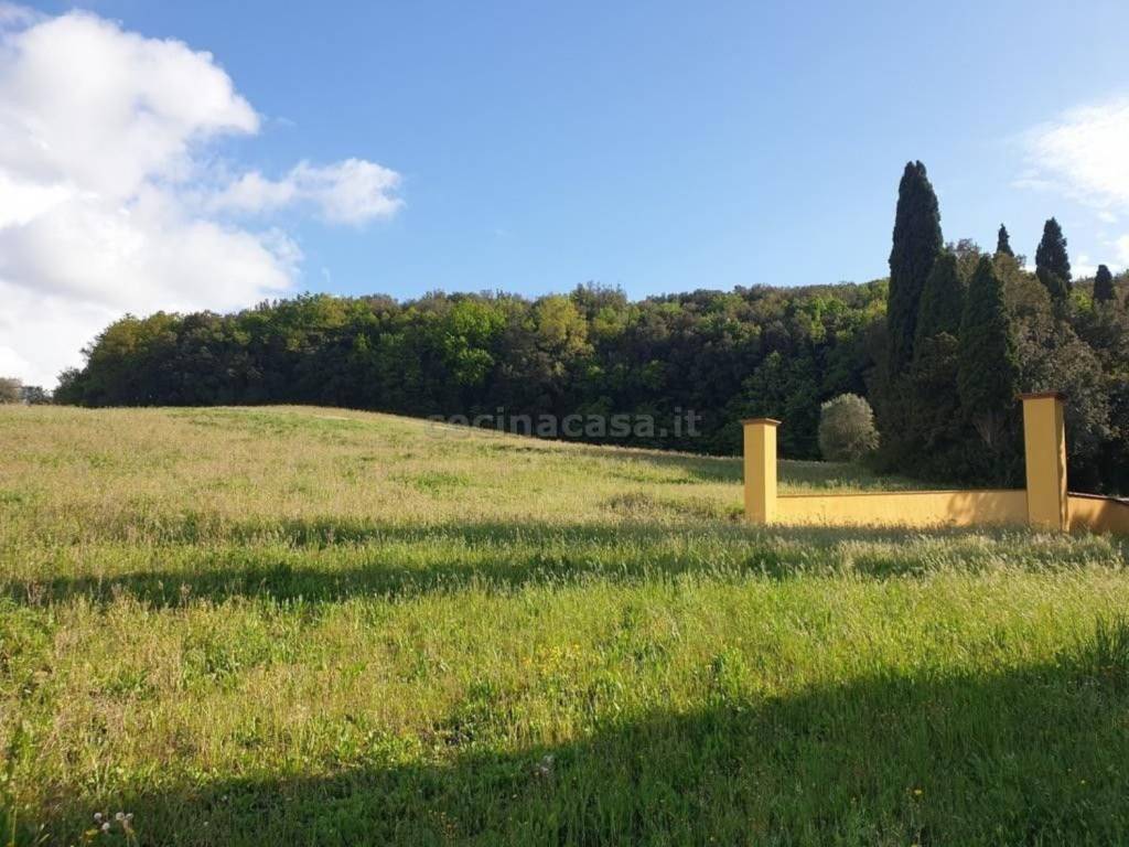 Terreno a Bibbona - Foto 5