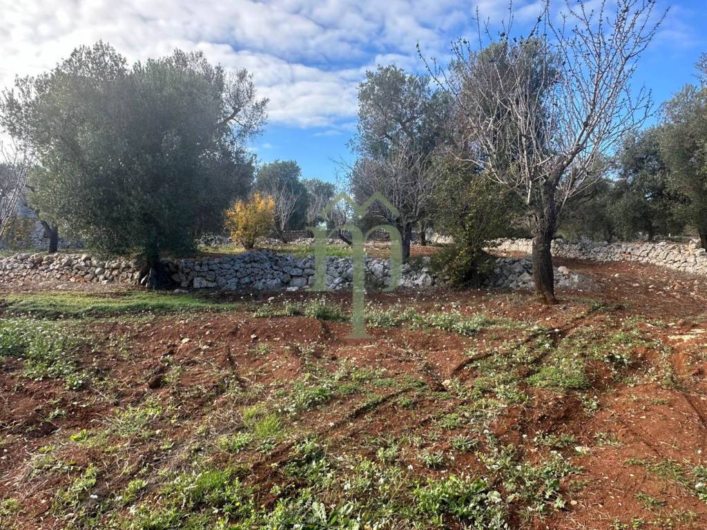 Terreno a Carovigno in Contrada Arrighi - Foto 3