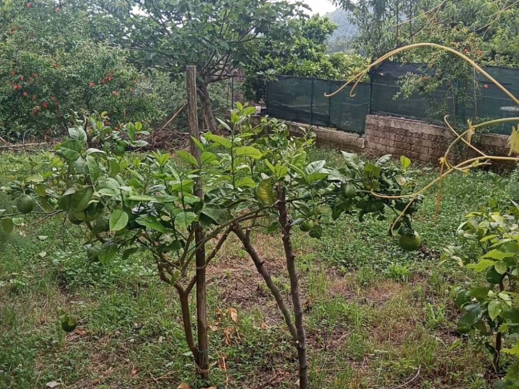Appartamento a Teano in Via Madonna dell'Assunta - Foto 2