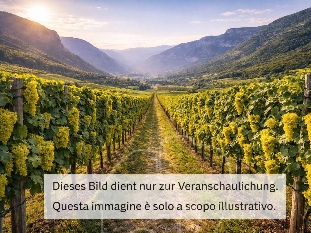 Rustico / casale a Affi - Foto 2