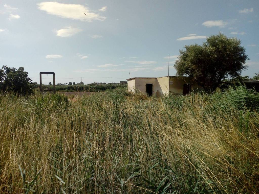 Terreno a Manfredonia in SP141 - Foto 2