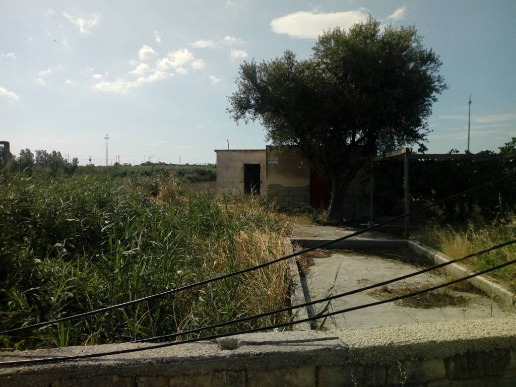 Terreno a Manfredonia in SP141 - Foto 3